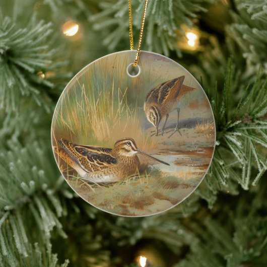 geïllustreerde snipvogels, Vogels Keramisch Ornament (Boom)
