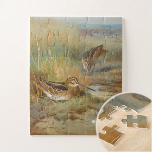 geïllustreerde snipvogels, Vogels Legpuzzel