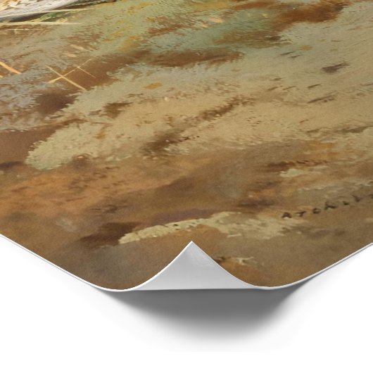  geïllustreerde snipvogels, Vogels Poster (Hoek)