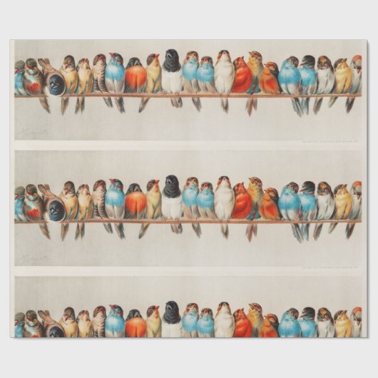  geïllustreerde vogels cadeaupapier (Vlak)