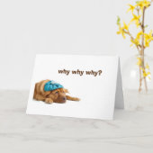 GEÏNEBRIEERDE DOG CELEBRATED UW BIRTHDAAG KAART (Gele Bloem)