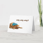 GEÏNEBRIEERDE DOG CELEBRATED UW BIRTHDAAG KAART (Voorkant)