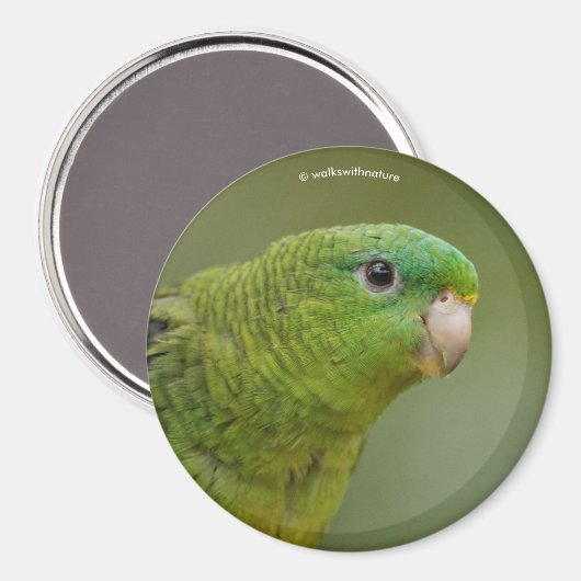 Geïneerde parkiet magneet (Voorkant / Achterkant)