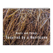 Geïnspireerd door een orkaankalender