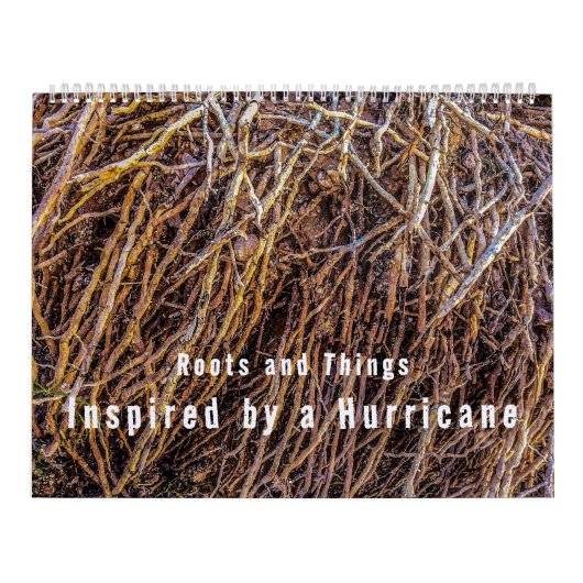 Geïnspireerd door een orkaankalender kalender (Hoes)