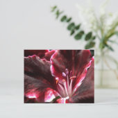 Geïnspireerd geranium Briefkaart (Staand voorkant)