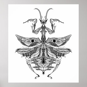 Geïnspireerd Praying Mantis 2 Poster