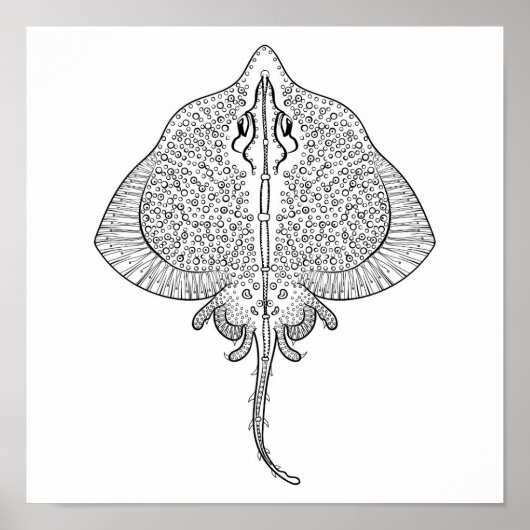 Geïnspireerd stereotype 2 poster (Voorkant)