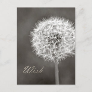 Geïnspireerd Wish Dandelion Briefkaart