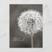 Geïnspireerd Wish Dandelion Briefkaart (Voorkant)