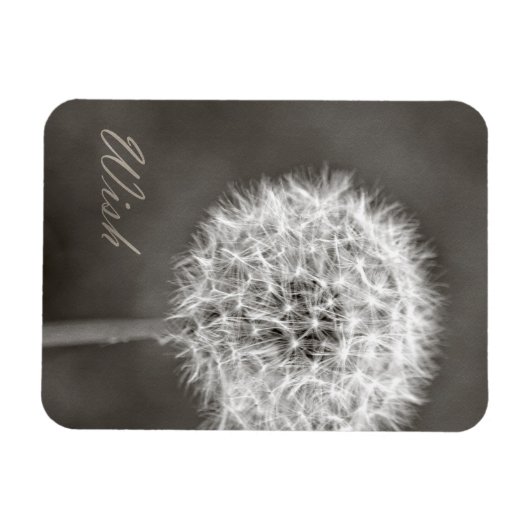Geïnspireerd Wish Dandelion Magneet (Horizontaal)