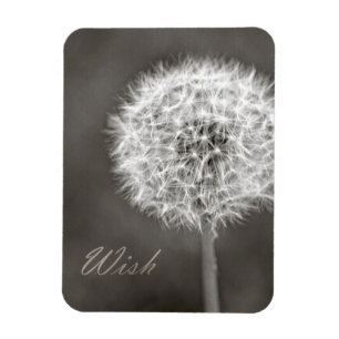 Geïnspireerd Wish Dandelion Magneet