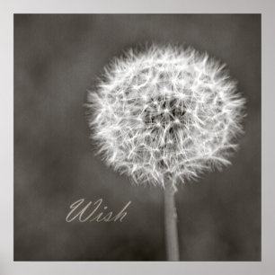 Geïnspireerd Wish Dandelion Poster
