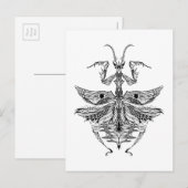 Geïnspireerde Praying Mantis Briefkaart (Voorkant / Achterkant)