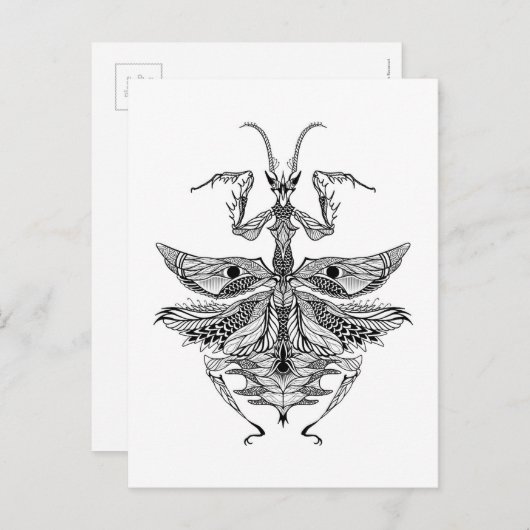 Geïnspireerde Praying Mantis Briefkaart (Voorkant / Achterkant)