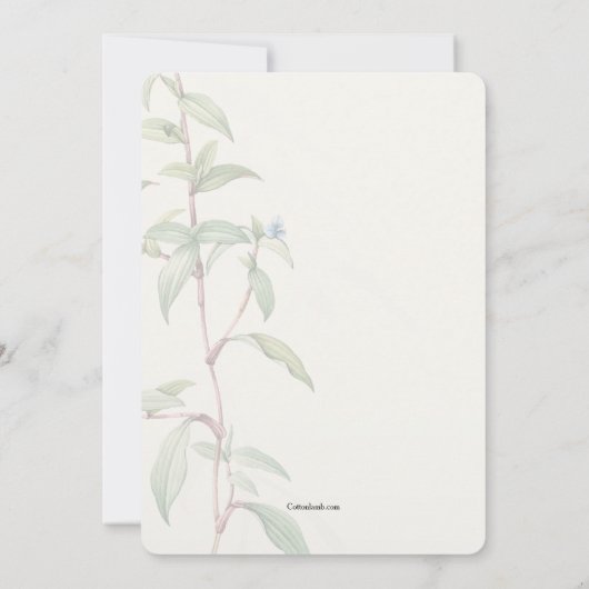 Geïnspireerde religieuze uitnodiging (Achterkant)