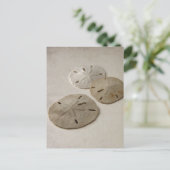  geïnspireerde zandvangdolaren briefkaart (Staand voorkant)