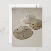  geïnspireerde zandvangdolaren briefkaart (Voorkant / Achterkant)