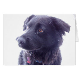 Geïnteresseerde blik