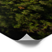 Geiranger Fjord landschap, Noorwegen Poster (Hoek)