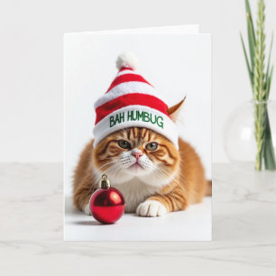 Geïrriteerde Katten Kerstkaart Kaart