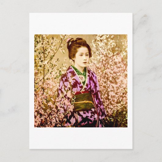  Geisha Posing in Cherry Blossom Briefkaart (Voorkant)