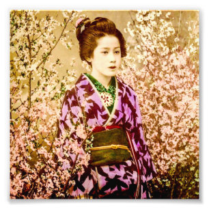 Geisha Posing in Cherry Blossom Foto Afdruk