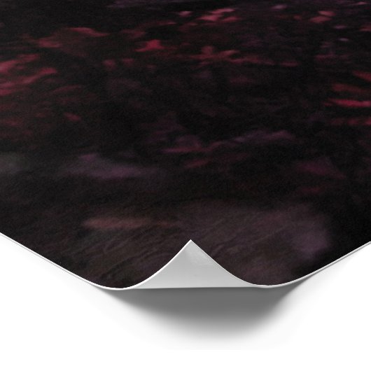 Geisha Poster (Hoek)