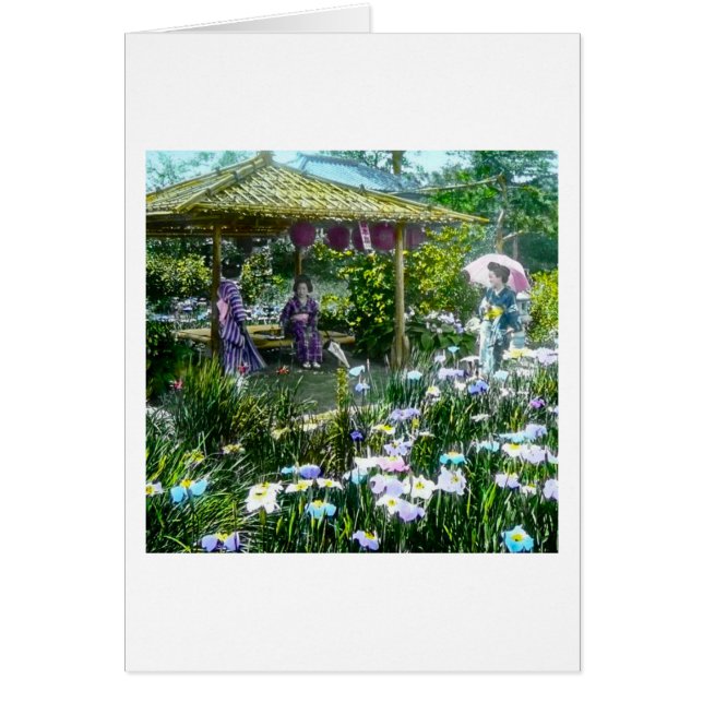 Geisha rust in Horikiri Iriis Gardens  (Voorkant)