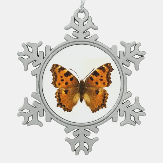 Geïsoleerd Briefkaart van Blackleg Tortoiseshel-vl Tin Sneeuwvlok Ornament (Voorkant)