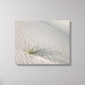 geïsoleerd canvas afdruk (Voorkant)