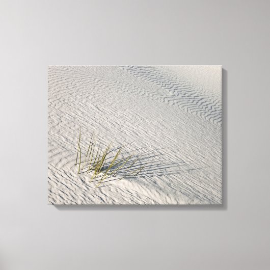 geïsoleerd canvas afdruk (Voorkant)
