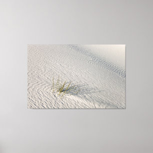 geïsoleerd canvas afdruk