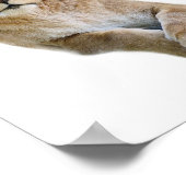 Geïsoleerd portret van de klassieke leeuwige brief poster (Hoek)