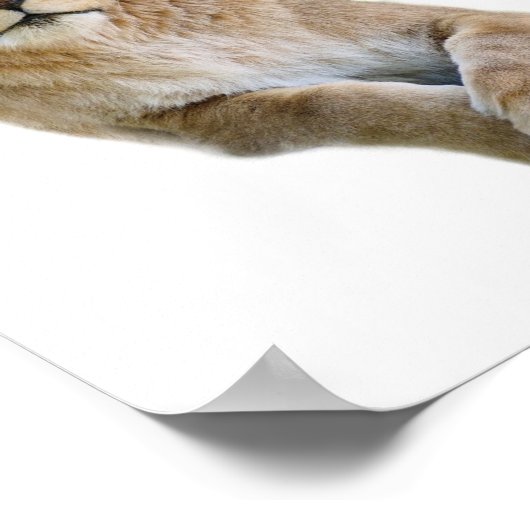 Geïsoleerd portret van de klassieke leeuwige brief poster (Hoek)