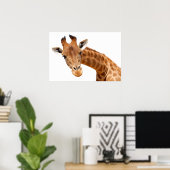 Geïsoleerd portret van giraffe PNG Poster (Thuiskantoor)