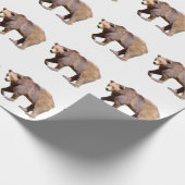 geïsoleerd van bruin beer briefkaart, vierkant sti cadeaupapier (Hoek)