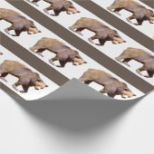 geïsoleerd van bruin beer briefkaart, vierkant sti cadeaupapier (Hoek)