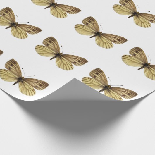 Geïsoleerd van groen geaderde witte vlindervlieg b cadeaupapier (Hoek)