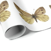 Geïsoleerd van groen geaderde witte vlindervlieg b cadeaupapier (Rol Hoek)