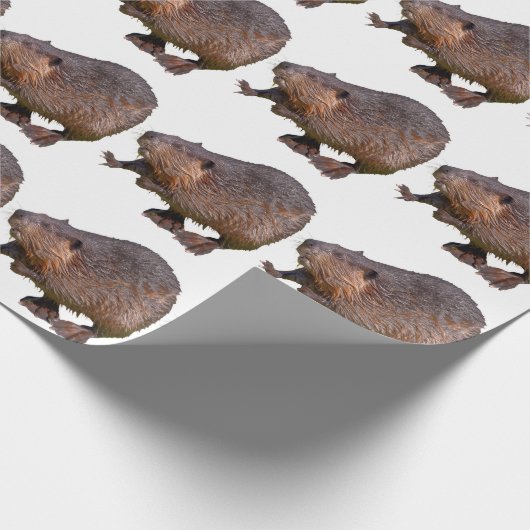Geïsoleerd van het Noord-Amerikaanse Beaver Briefk Cadeaupapier (Hoek)