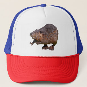 Geïsoleerd van het Noord-Amerikaanse Beaver Briefk Trucker Pet
