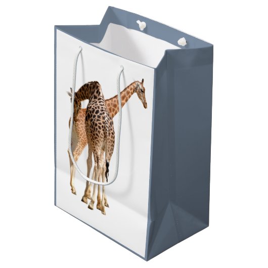 geïsoleerd van twee giraffen, mannelijk en vrouw medium cadeauzakje (Voorkant Gekanteld)