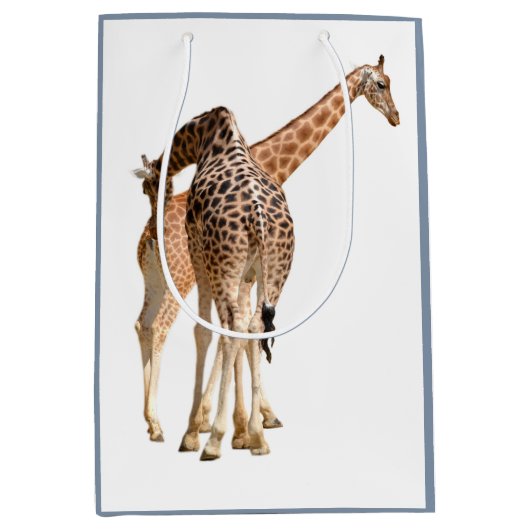 geïsoleerd van twee giraffen, mannelijk en vrouw medium cadeauzakje (Voorkant)