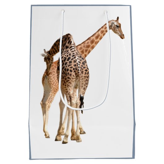 geïsoleerd van twee giraffen, mannelijk en vrouw medium cadeauzakje (Achterkant)