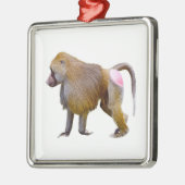 Geïsoleerde baviaanse briefkaart met vierkante sti metalen ornament (Links)