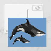 Geïsoleerde dodelijke walvis briefkaart (Voorkant / Achterkant)