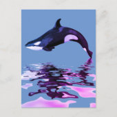 Geïsoleerde dodelijke walvis met reflectie briefkaart (Voorkant)