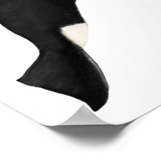 Geïsoleerde dodelijke walvis poster (Hoek)