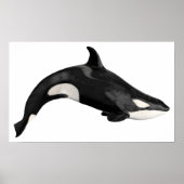 Geïsoleerde dodelijke walvis poster (Voorkant)